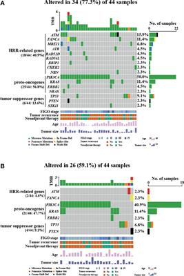 Next-Generation Sequencing Reveals a Very Low Prevalence of Deleterious Mutations of Homologous Recombination Repair Genes and Homologous Recombination Deficiency in Ovarian Clear Cell Carcinoma